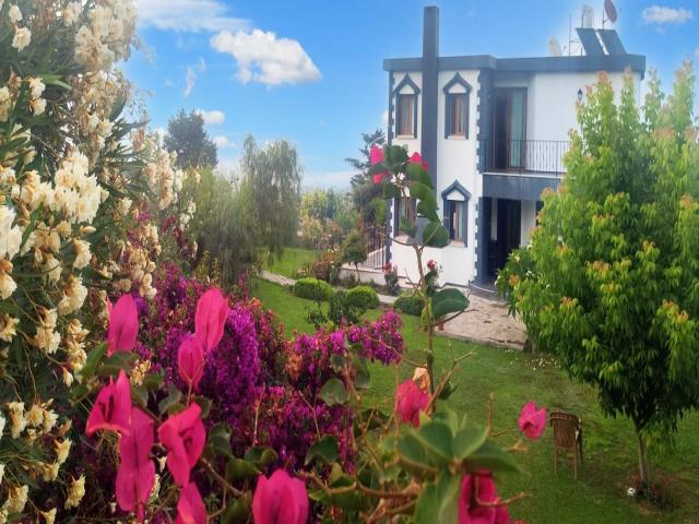 Villa Ercan: Doğanın Büyüsüyle Lüks Yaşam Buluşuyor!